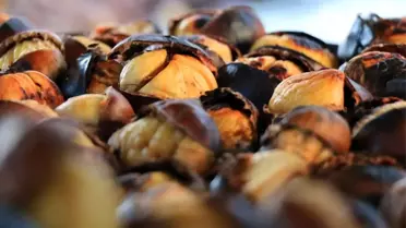 Kabzımal ve satıcılardan Çin kestanesine 'veto'