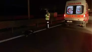 Düşen plakayı almak isteyen muavin canından oldu