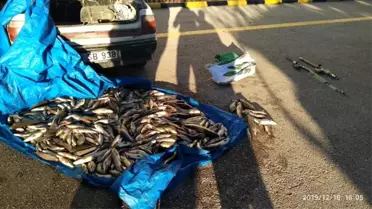 Kastamonu'da yasak olan 20 tırıvırı yakalandı