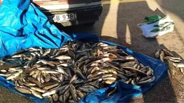 'Tırıvırı' diye tabir edilen malzemelerle avlanan 8 kişiye yasal işlem yapıldı