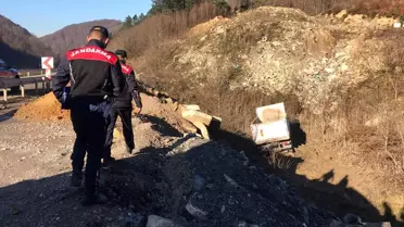 Zonguldak'ta şarampole devrilen kamyonun sürücüsü yaralandı