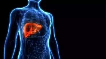 Prof. Dr. Onur Yaprak: Köpek kisti organ nakline kadar götürebilir