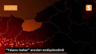 'Yalancı bahar' arıcıları endişelendirdi