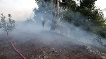 Bursa'da çıkan orman yangını kontrol altına alındı