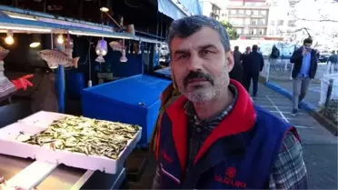 Hamsi Gürcistan'a yöneldi, tezgâhlar istavritle doldu