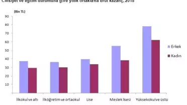 TÜİK-Yıllık ortalama brüt kazanç 2018'de 49 bin 1 lira oldu