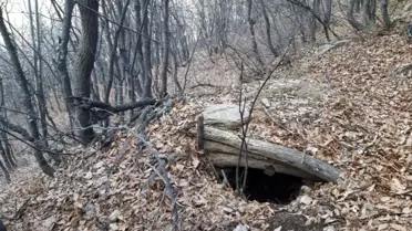 Bitlis'te 'Kıran-8 Örenlik ve Kısıklı' operasyonları