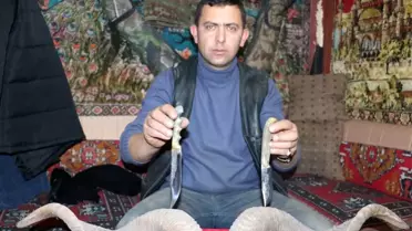 Kasaplardan toplanan boynuzlar, bıçak sapına dönüşüyor