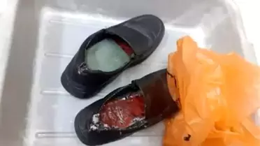 Ürdün'de ayakkabılara gizlenmiş 8 nadir kuş bulundu