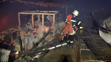 Şili'de orman yangınının sabotaj olduğu iddiası