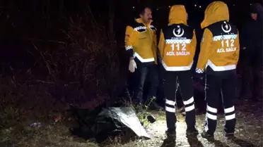Köpeğe çarpınca aracından indi, başka bir aracın çarpması sonucu öldü