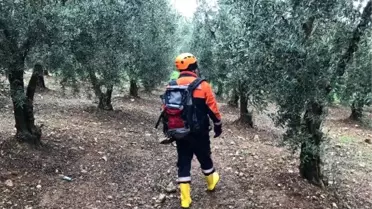 Bursa'da kayıp çiftçi bulundu (2)