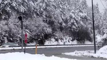 Bolu Dağı'nda kar yağışı devam ediyor
