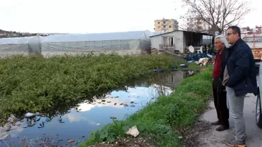 Tarla ve seraları su bastı, üretici tahliye mesaisine başladı