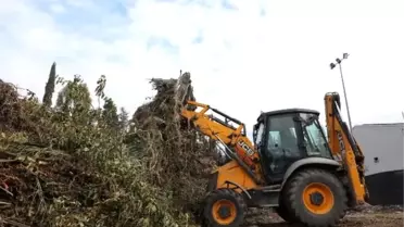 Ödüllü 'bio briket' çevreyi koruyup, ev ve seraları ısıtacak