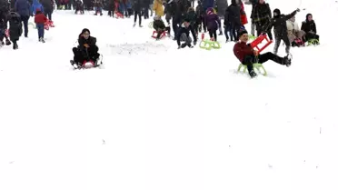 Ordu'da kızak şenliği