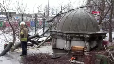 Beyoğlu'nda devrilen ağaç tarihi çeşmeye zarar verdi