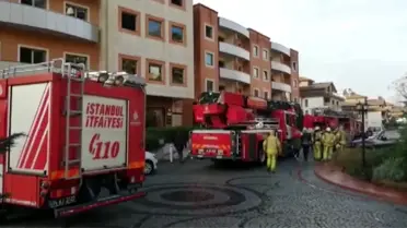 Beykoz'da lüks sitede yangın paniği