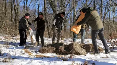 Kırklareli'nde yaban hayvanları için doğaya yem bırakıldı