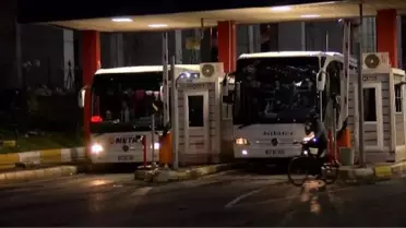 Evcil hayvanlar artık şehirlerarası otobüslerde yolcularla seyahat edebilecek