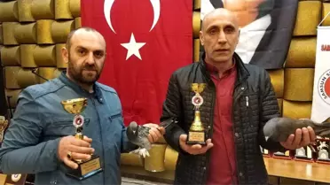 Samsun'da güvercin güzellik yarışması düzenlendi
