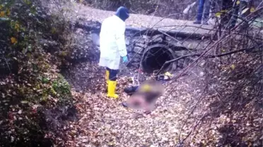 Bolu'da 17 yaşındaki genci öldüren sanığa müebbet hapis istendi