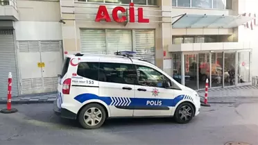 Çocuk ölümlerinde 'domuz gribi' şüphesi
