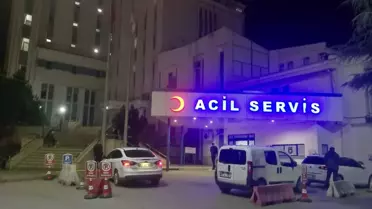 Ordu'daki arazi kavgasında amca yeğenini tüfekle öldürdü