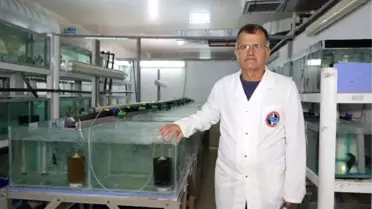 Masaj ve SPA salonlarının 'doktor balık' ilgisi