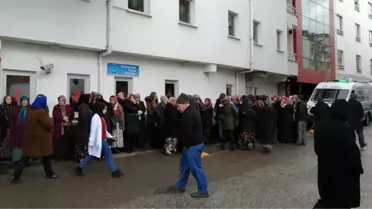 Ordu'da domuz gribinden bir kişi hayatını kaybetti