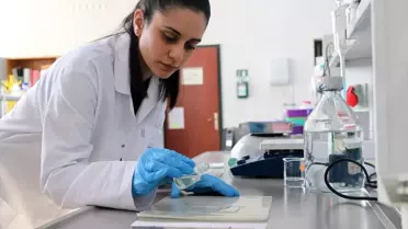 Peynir altı suyundan yenilebilir ambalaj ürettiler