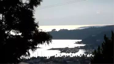 Bodrum'da sıcak havayı fırsat bilenler sahillerde yoğunluk oluşturdu
