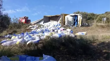 Devrilen yem kamyonunun şoförü yaralandı