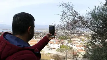 Fethiye'de bademler çiçek açtı