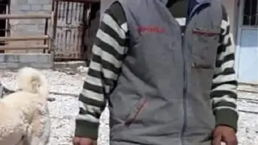 Hayvanları otlatmaya götüren çoban, ölü bulundu