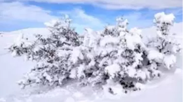 Mazıdağı'nda etkili olan kar yağışı ve tipi ulaşımda aksamalara neden oldu
