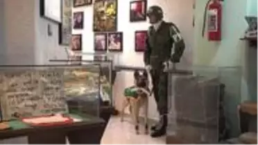 Meksika'da kartellerle mücadelede 'bilgilendirici' bir yöntem: 'Uyuşturucu Müzesi'