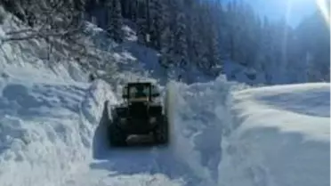 Trabzon'da kar temizleme çalışmaları sürüyor