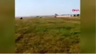 Havalimanı çalışanları piste giren maymunları ayı kostümüyle kovaladı