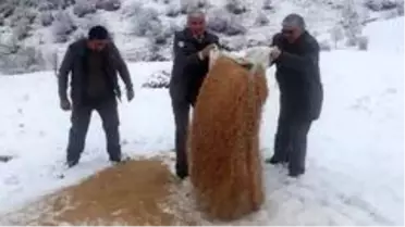 Kırıkkale'de hayvanlar aç kalmasın diye doğaya yem bırakıldı