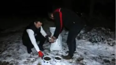 Kartal Belediyesi soğuk kış günlerinde de sokak hayvanlarının yanında