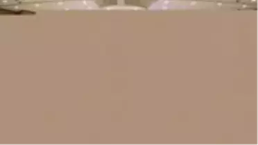 AP'den Türk bayrağını yırtan Yunan vekile ödenek kesintisi ve faaliyetlere katılmama cezası