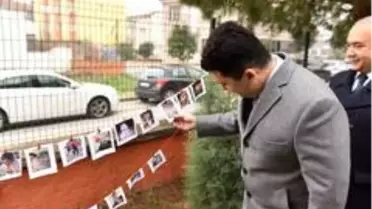 Öğrenciler istedi Başkan Avcı kedi evini teslim etti