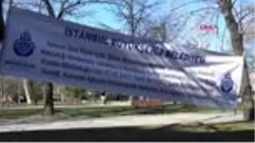 Gezi parkı'na 150 yeni ağaç dikiliyor