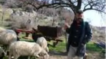 Manisa'da depremden korkanlar geceyi çadırda geçirdi (2)