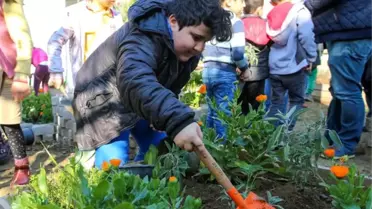 Bucalı miniklere 'yeşil' aşısı: İlk kez toprakla buluşturlar