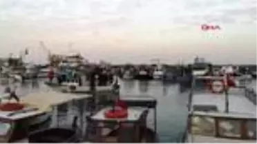 İzmir dikili'de avlanan deniz patlıcanları uzakdoğu'ya ihraç ediliyor