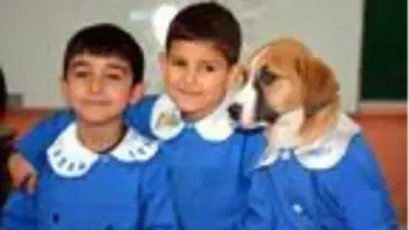 'Fındık', tedavi için Ankara'ya gönderildi
