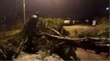Kocaeli'de şiddetli rüzgar yaşamı olumsuz etkiledi