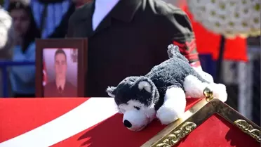 İdlib şehidinin tabutuna bırakılan Bozkurt isimli oyuncak köpek duygulandırdı